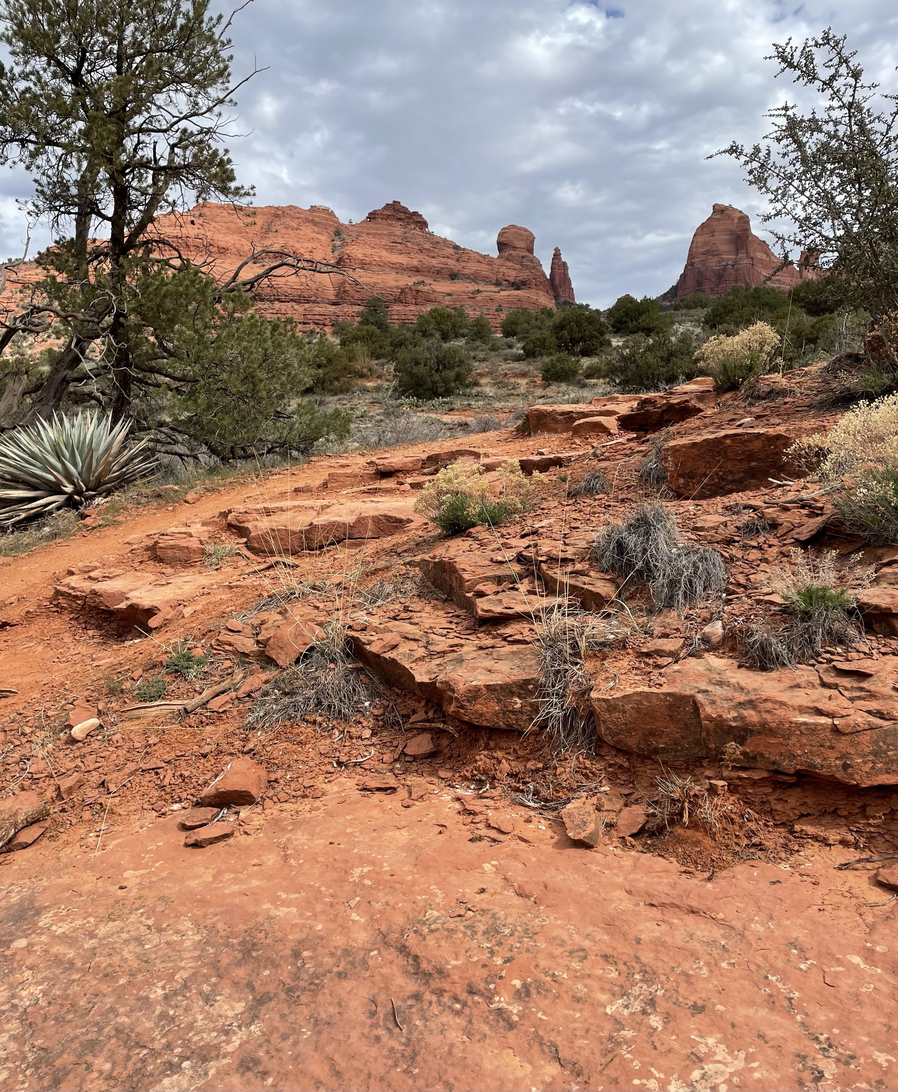 the red rocks in Sedona Arizona